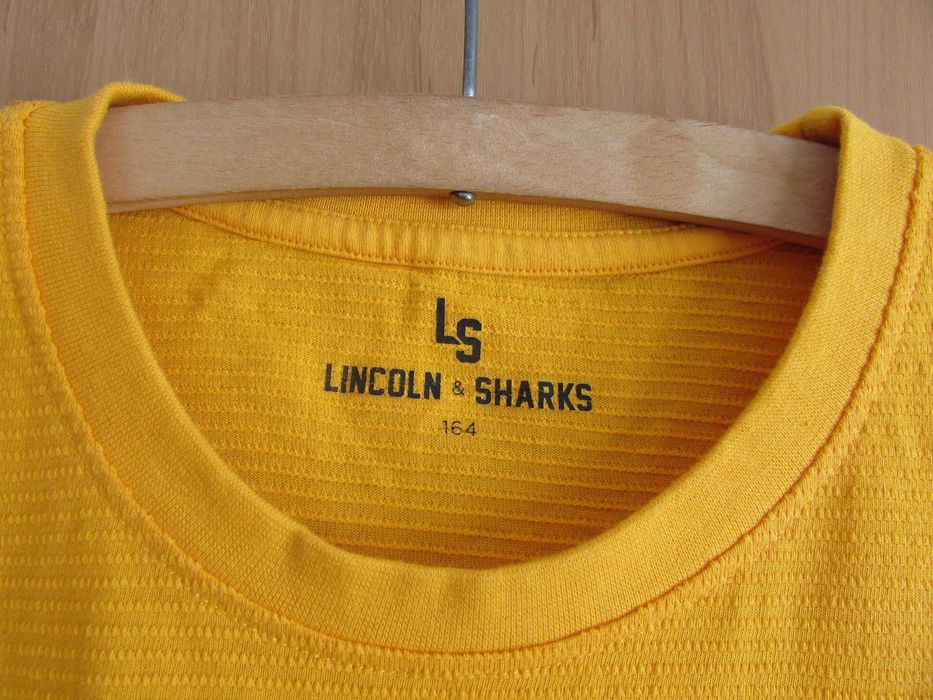 Bluzka dziecięca na długi rękaw LINCOLN & SHARKS Roz. 164