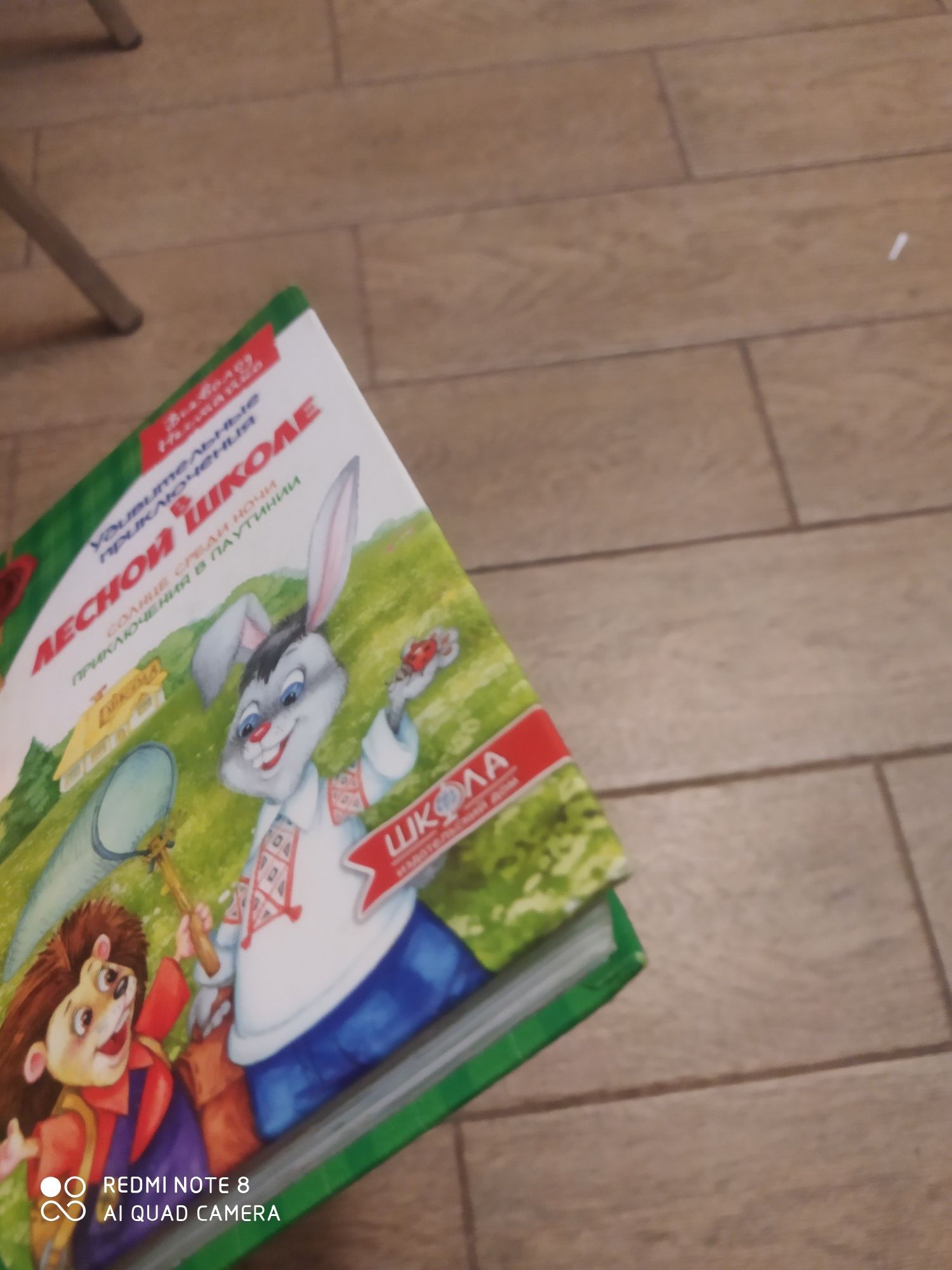 Удивительные приключения в лесной школе. Солнце среди ночи.