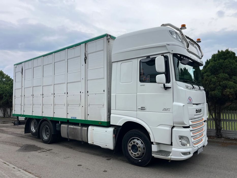 DAF XF 106.510 Do żywca zwierząt  Daf XF106.510 Do żywca zwierząt bydła Menke