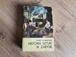 Historia sztuki w zarysie - Karol Estreicher