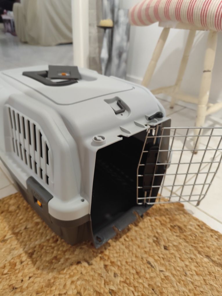 Animais | Conjunto de acessórios para gato