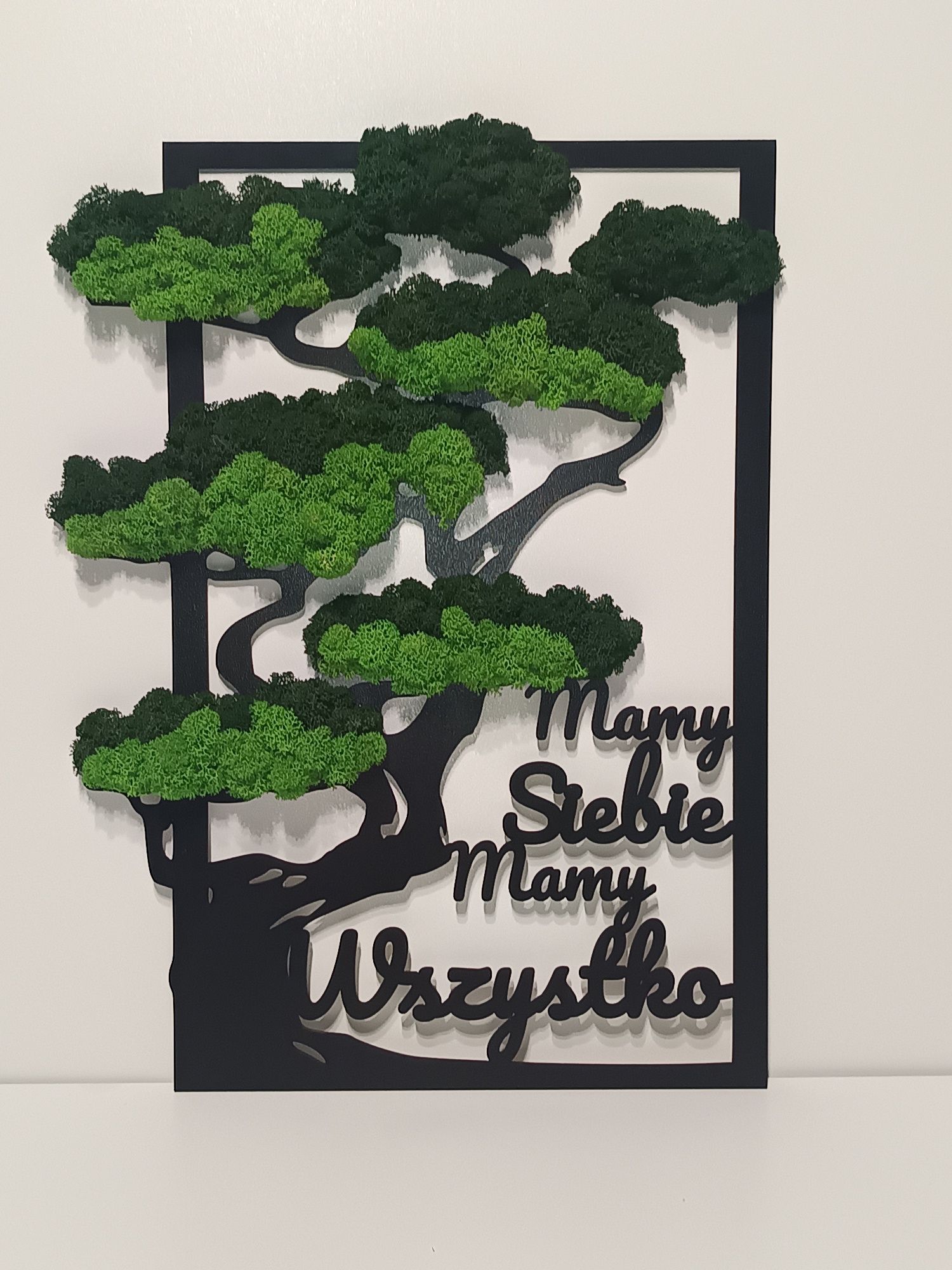Obraz ażurowy mech CHROBOTEK 37/50cm