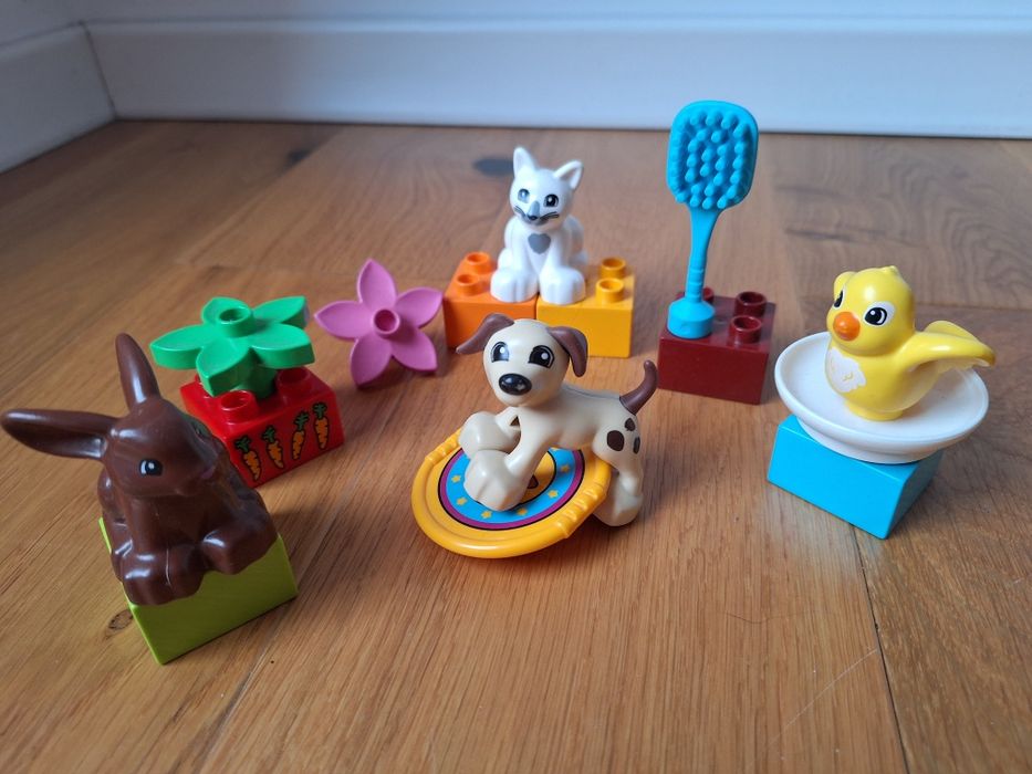 LEGO Duplo Zwierzątka domowe 10838 Zwierzęta domowe