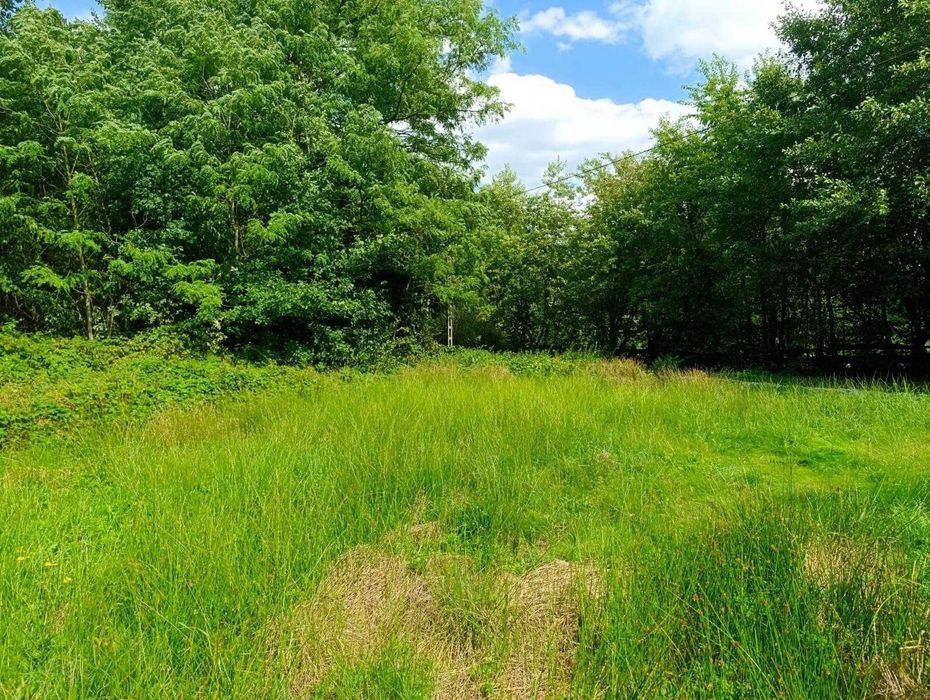Na sprzedaż urokliwa posiadłość (dom, działka) ponad 3,5 ha