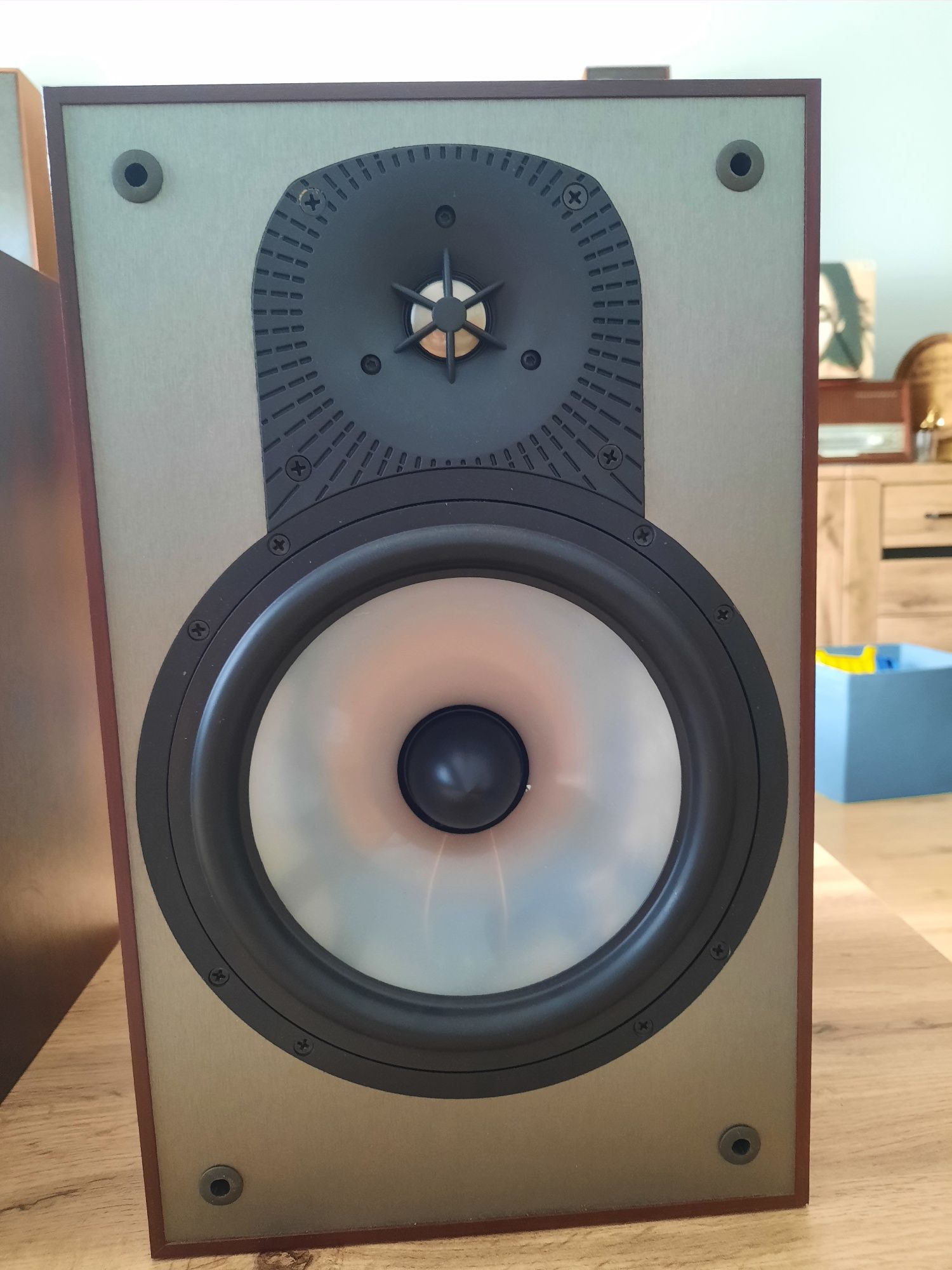 Kolumny monitory Paradigm Monitor 3v4