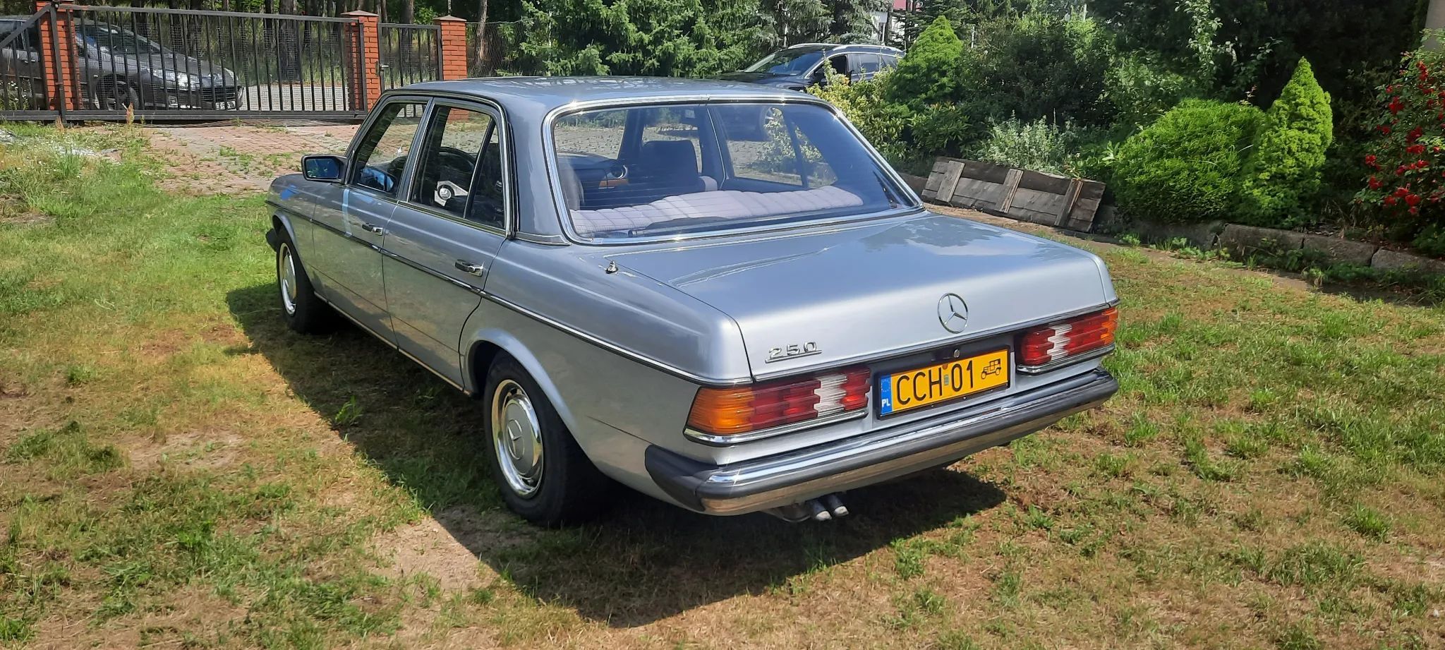 Mercedes-Benz W123 Mercedes-Benz Daimler-Benz W123 1981r oryginał 250 automat