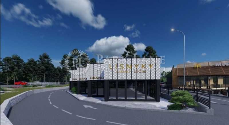 Пропонується до продажу інвестиційний проект с. Лісники