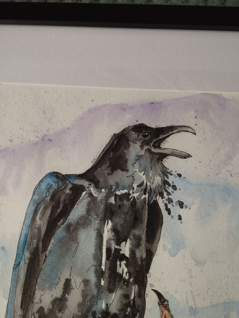 Lunula Raven - duża akwarela Kruk
