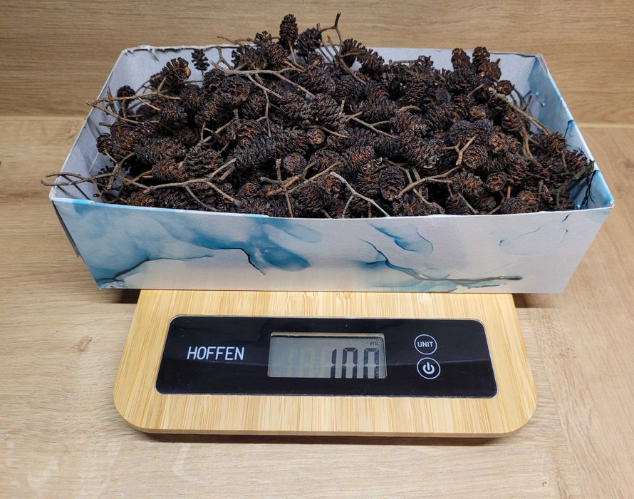 Olcha czarna szyszki do oczka wodne / akwarium 200 g (ponad 1000 szt.)