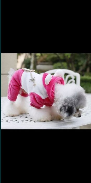 Комбінезон для собачки