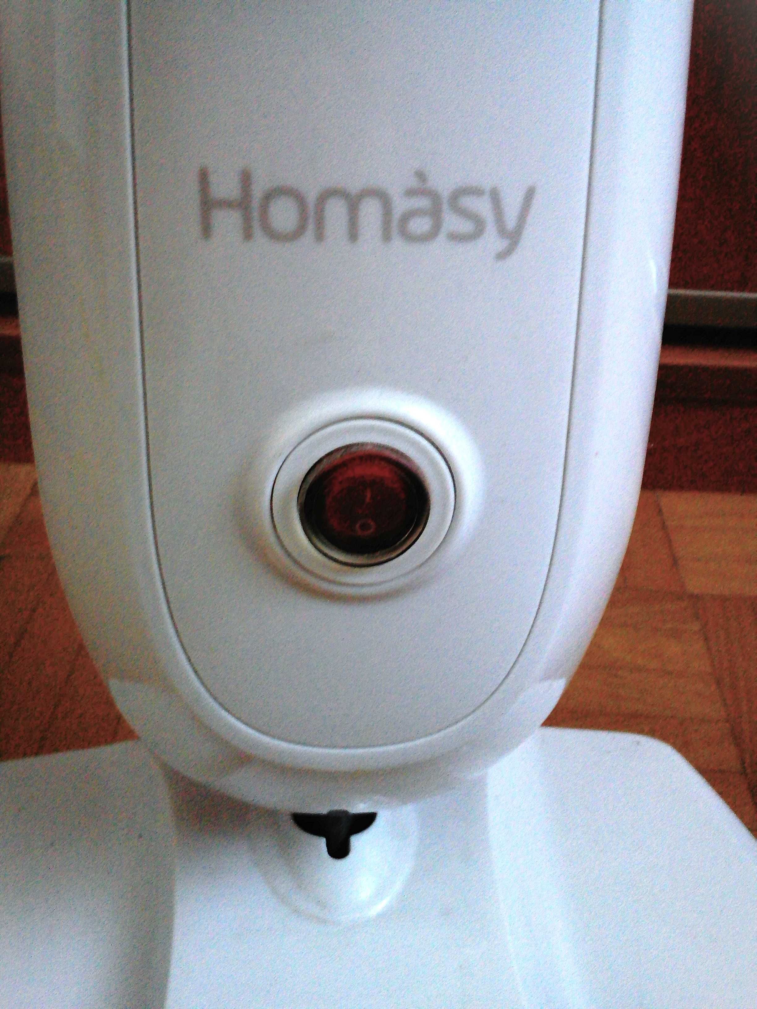 Mop parowy Homasy, 1100 Wat