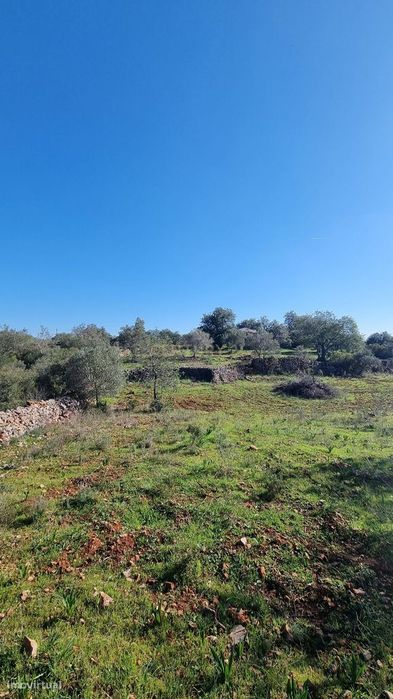 Terreno com 2720 m2 a 12min de Albufeira - DISPONIVEL