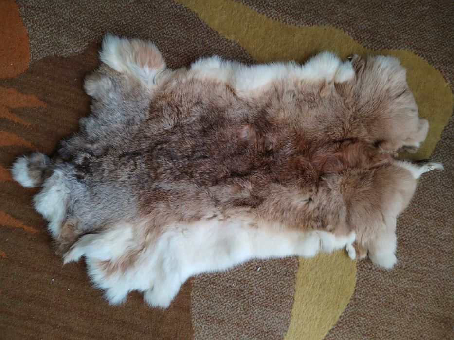 Pele de Coelho ,Comp 68