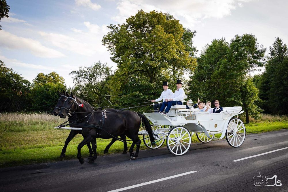 Bryczką do ślubu i inne uroczystości