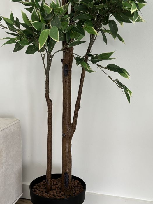 Planta artificial interior/exterior