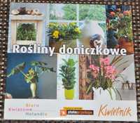 Rośliny doniczkowe - CD - BDB- Kraków