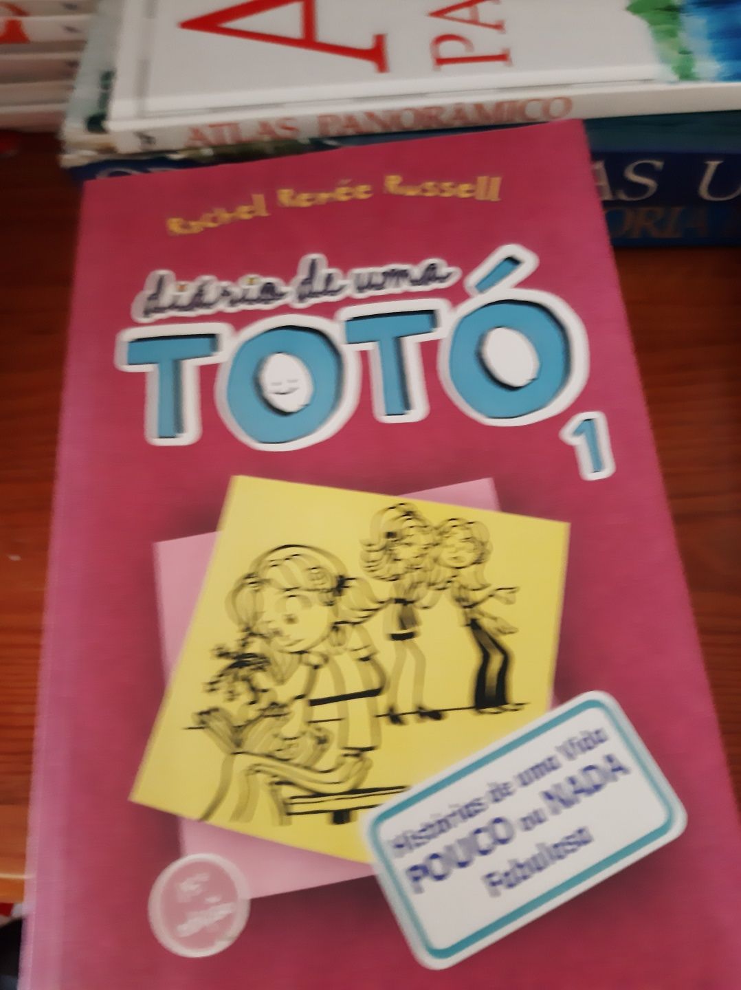 O Diario de uma totó