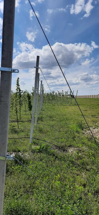 Стовпчики залізобетонні попередньо напружені. Всі розміри. Заліщики