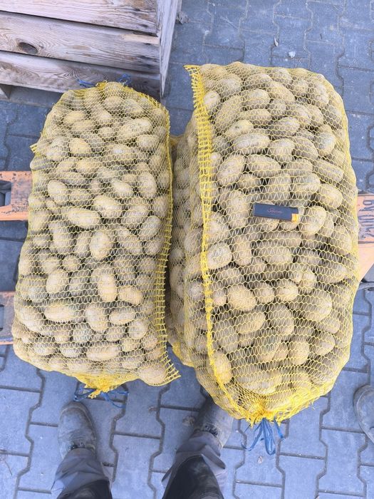 Ziemniaki Queen Anna