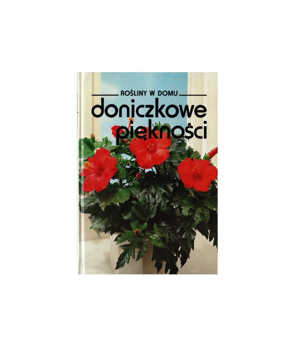 Doniczkowe piękności. Rośliny w domu