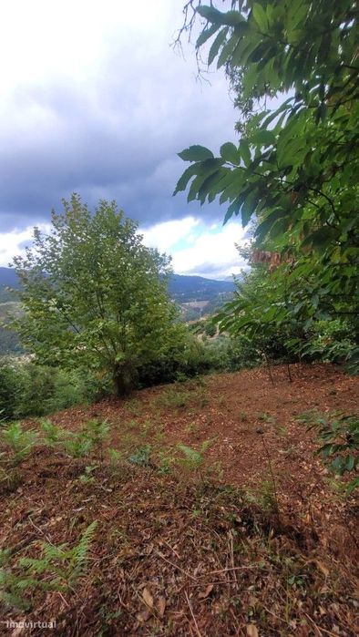 Terreno - Parada de Bouro