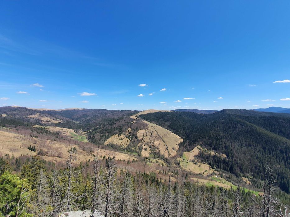 Продам Землю Карпаты Косовский район Ивано-Франковска область