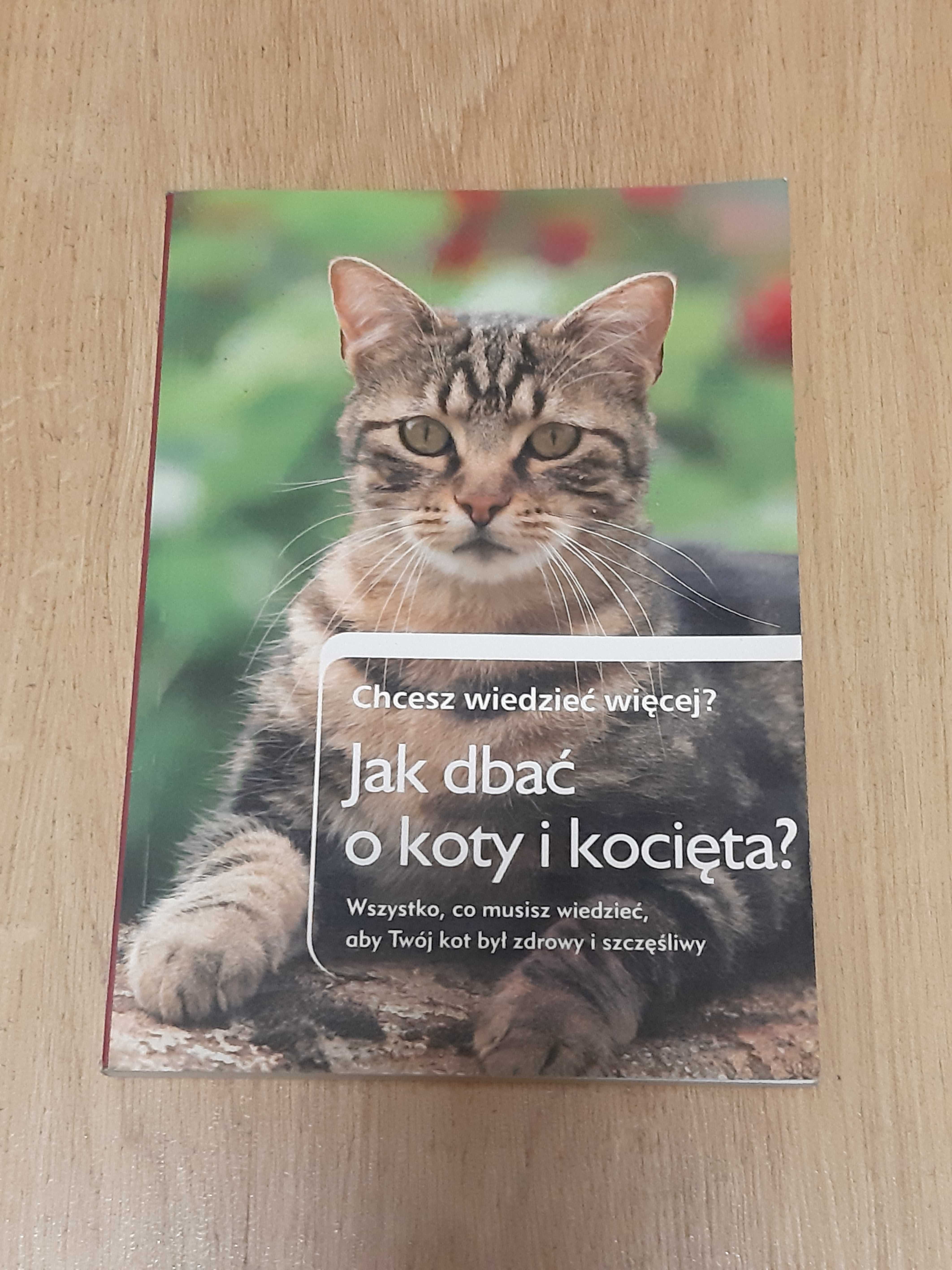 Jak dbać o koty i kocięta