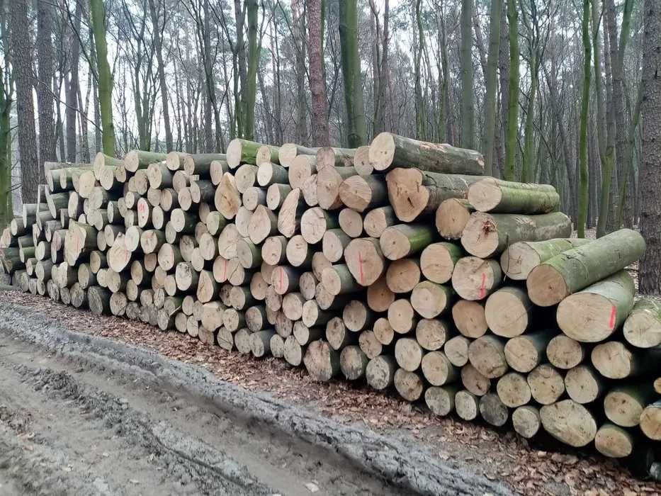 Drewno opałowe 6 metrów – sosna, olcha, brzoza, dąb Miastków Kościelny