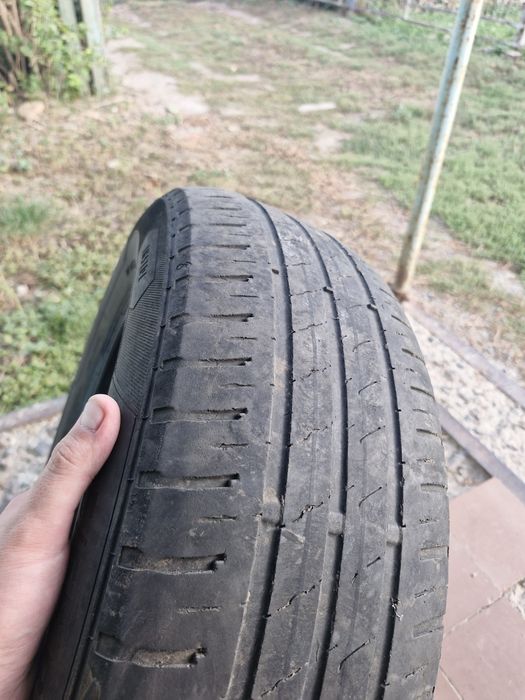 Шини Barum Bravuris 5 hm 195/65r15 літо