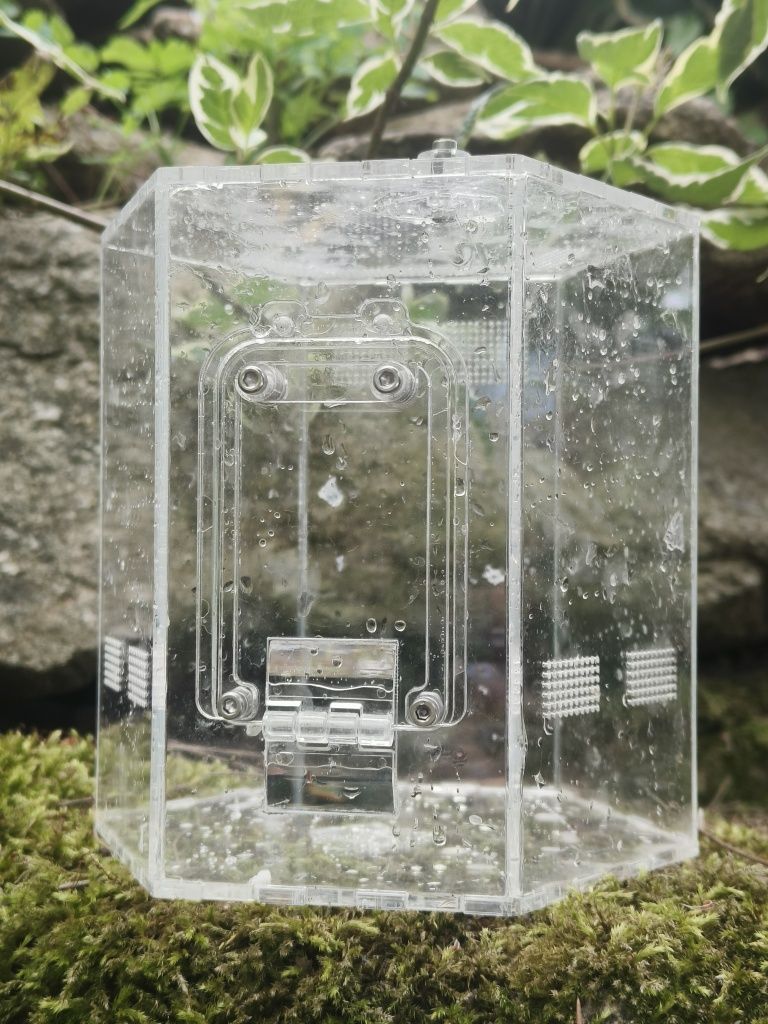 terarium akrylowe dla skakuna ptasznika