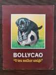 Vendo caderneta Bollycao "o teu melhor amigo"