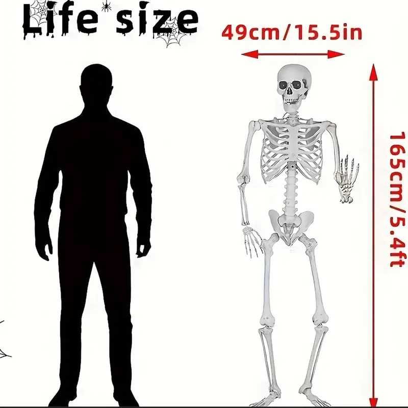 Esqueleto decorativo 170cm
