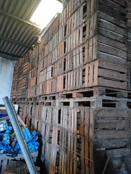 Caixas de madeira. Temos mais baratas
