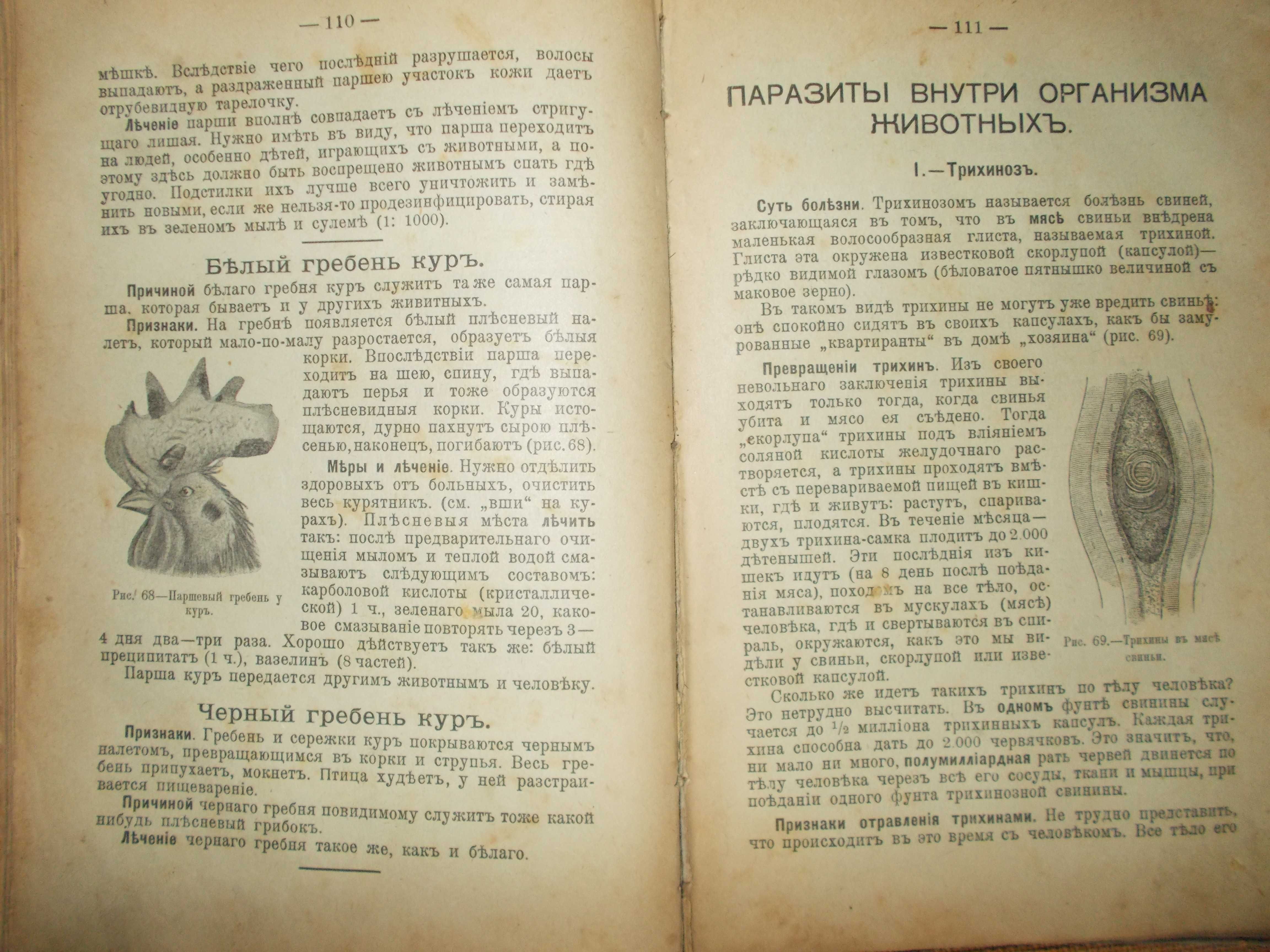 Общедоступный лечебник всех животных. 1912г.