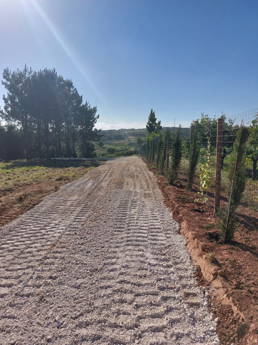 Limpeza / Corte/  Manutenção de terrenos