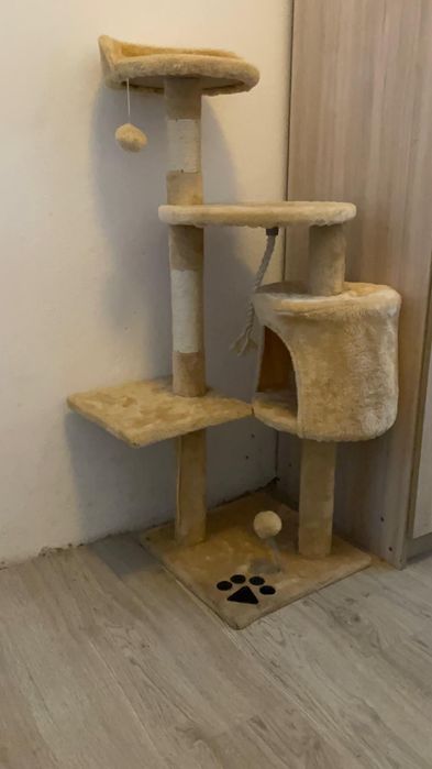 Casinha arranhador para gatos