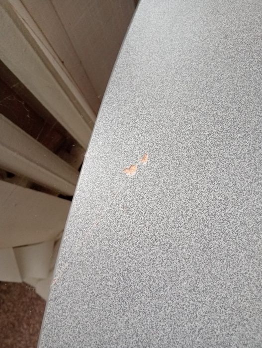 Стіл великий овальної форми