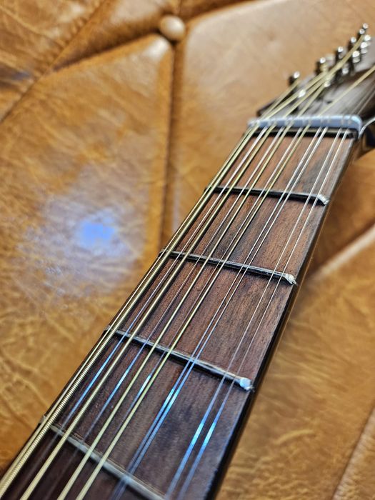 Gitara akustychna 12 strunowa Defil