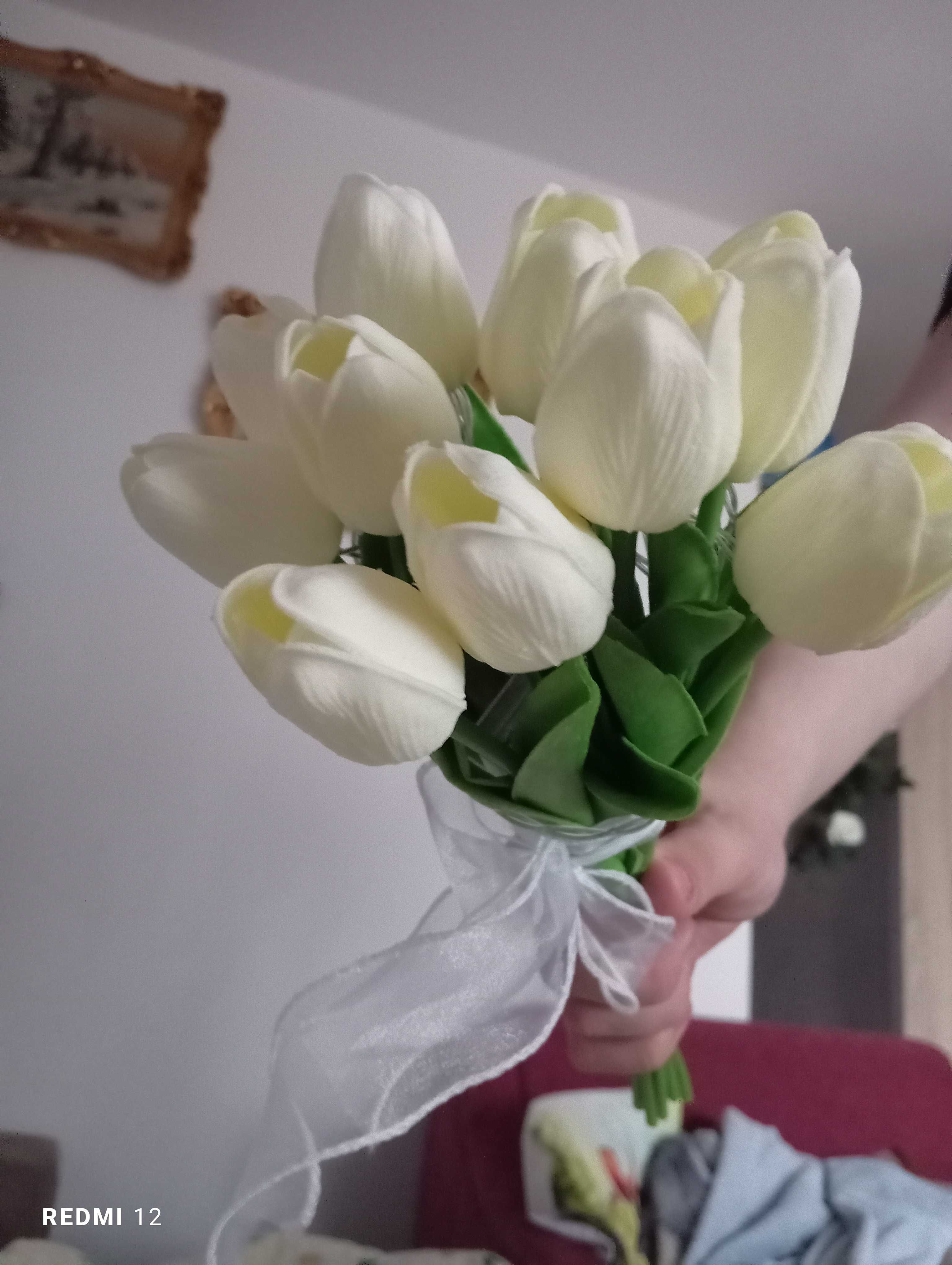 Nowe tulipany świecące