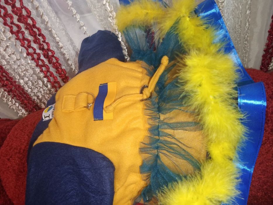 Одяг для собак та котів