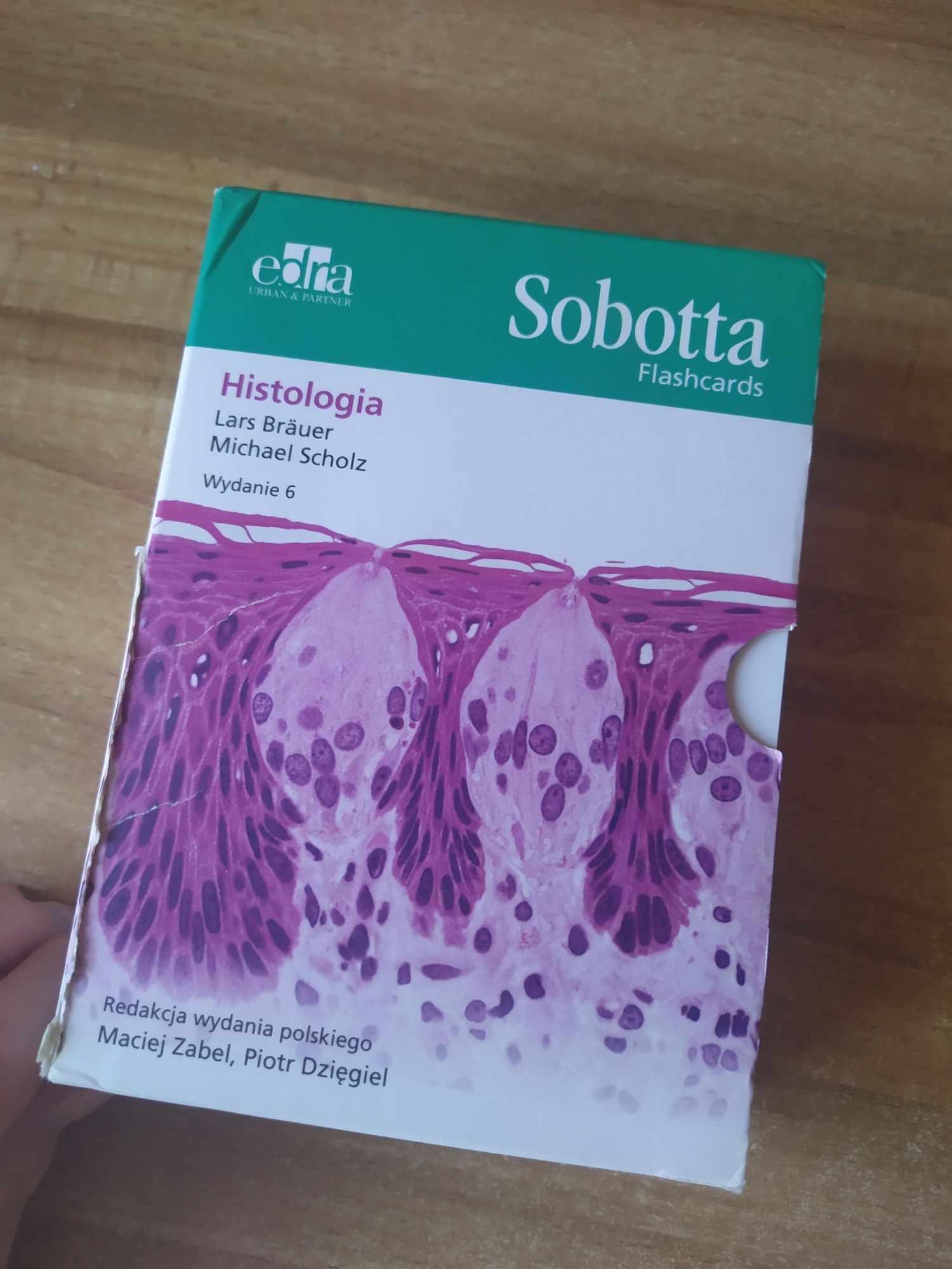Histologia Flashcards Sobotta