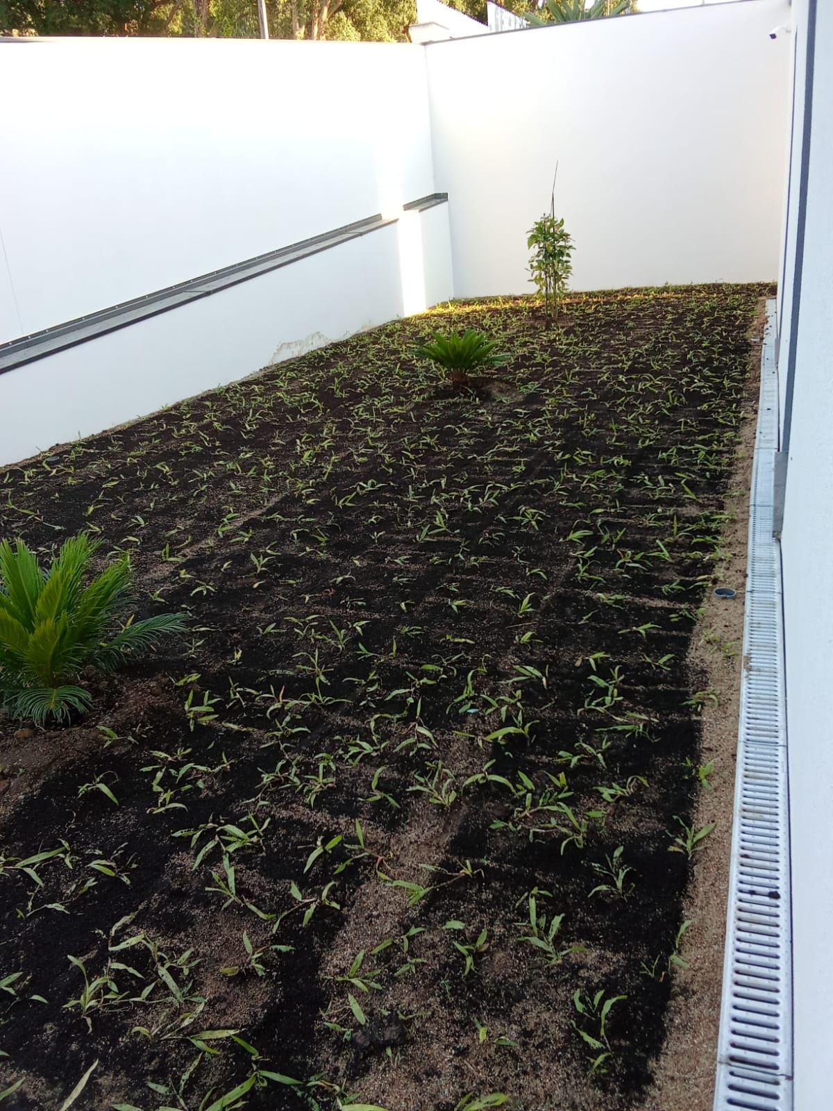 Serviços de jardinagem, construção e manutenção de jardins!