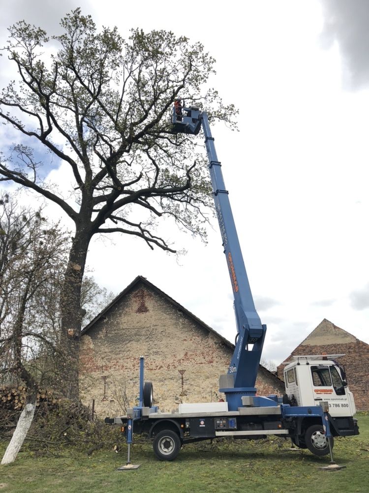 Usługi dźwigowe, dźwig Liebherr krapkowice wumag usługi dźwigiem