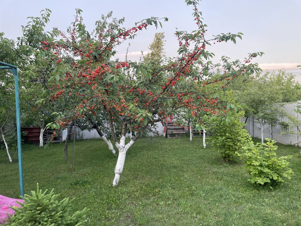 Продам дом в с. Старые Кодаки