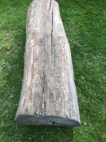 sprzedam duży pniak-nowa cena!