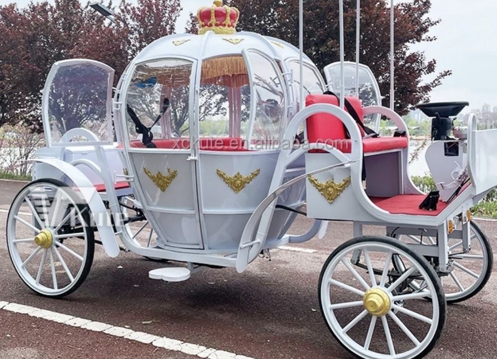 Coche Real Elétrico