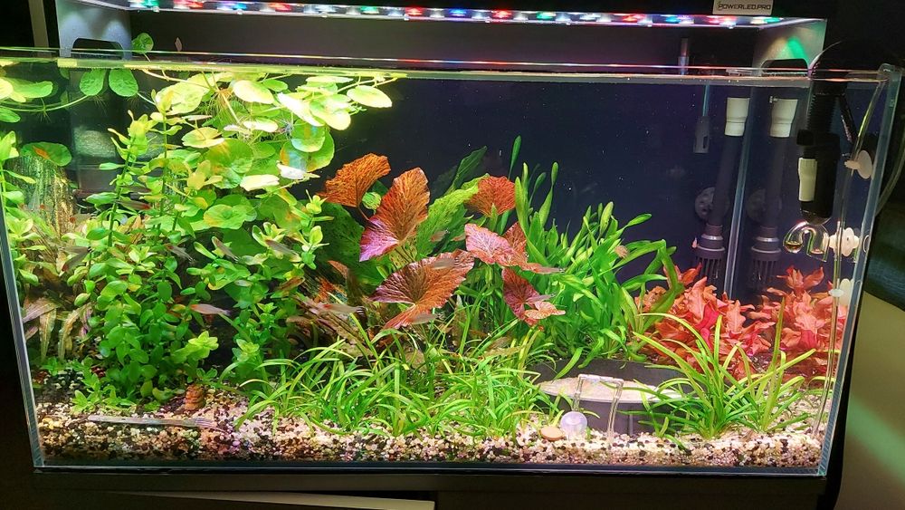 Lampa powerled.pro do akwarium 150 cm lub inną na wymiar - firma,  FV