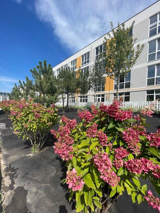 Старт будівництва та продажу таунхаусів 66м2! ЖК Sanville Park 60000$