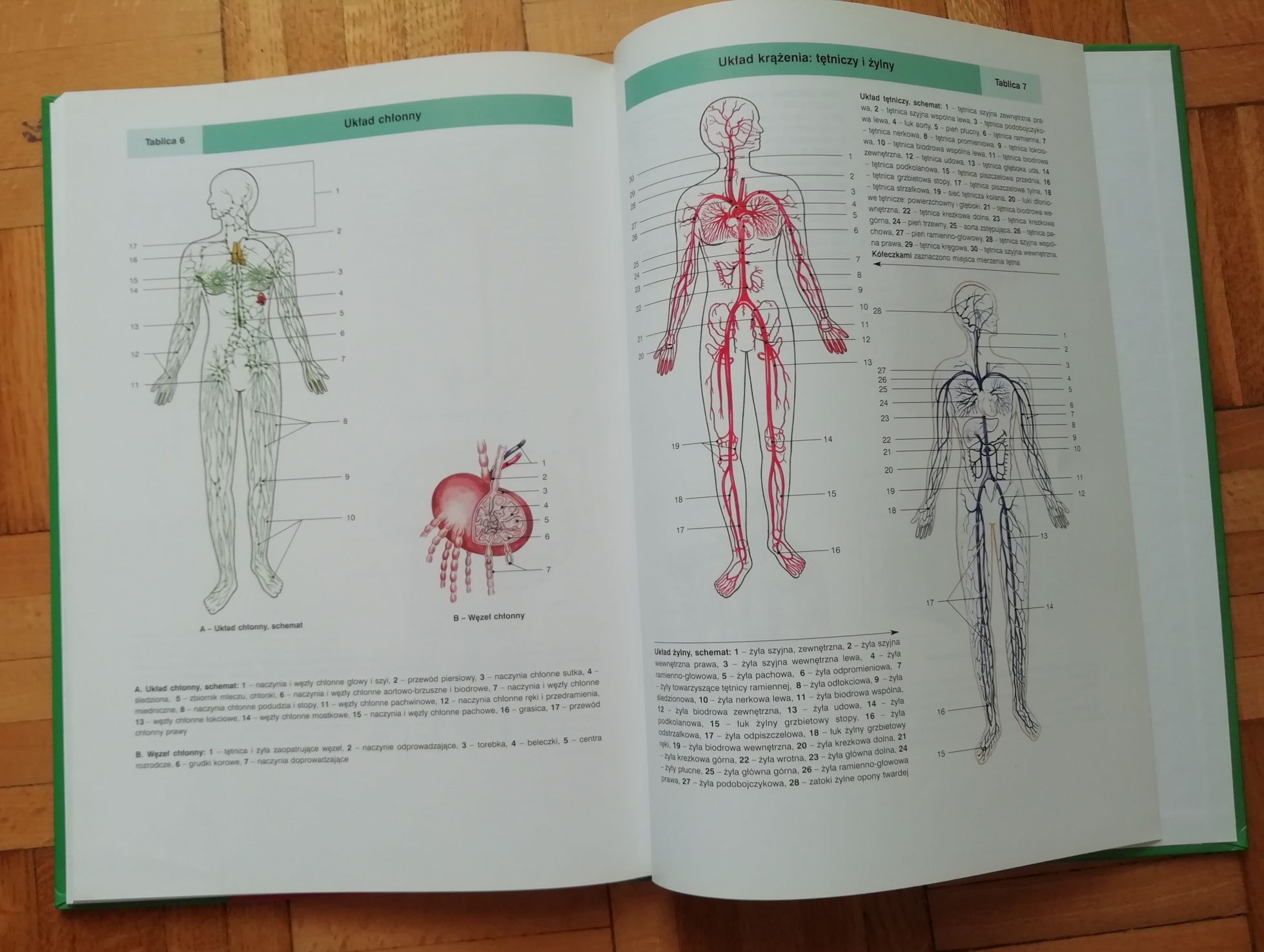 Encyklopedia zdrowia rodziny Tom 1