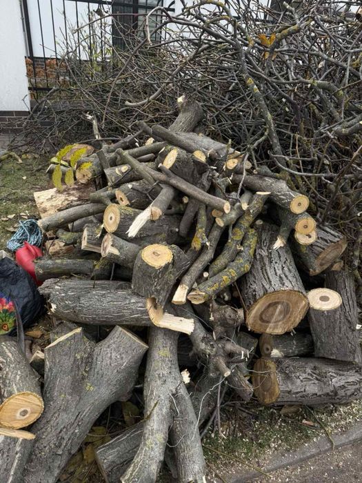 Безкоштовно віддам на дрова дерево разом з гілками